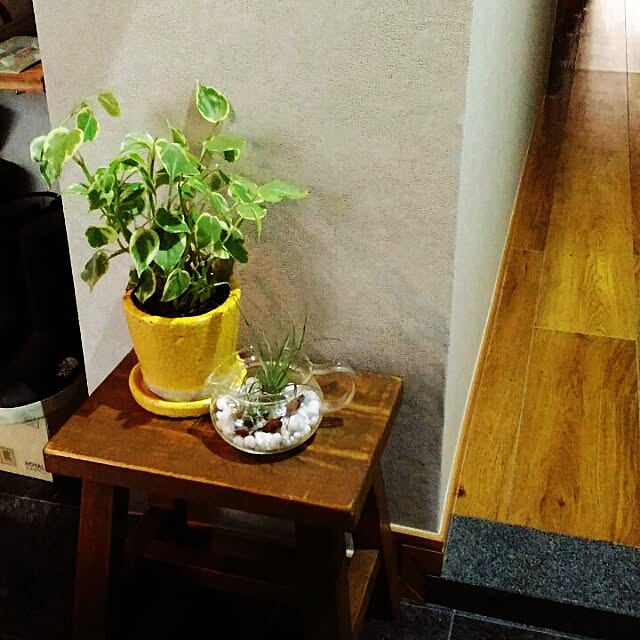 d_mizutama_さんの実例写真