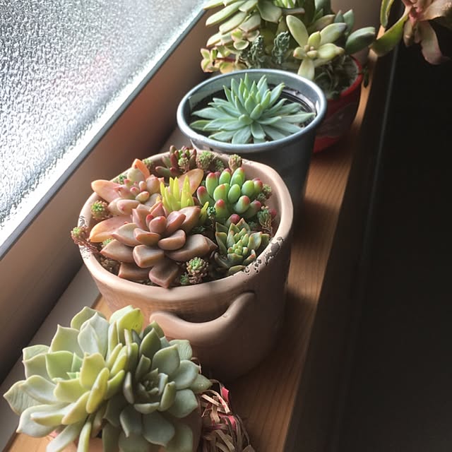 miporinさんの実例写真