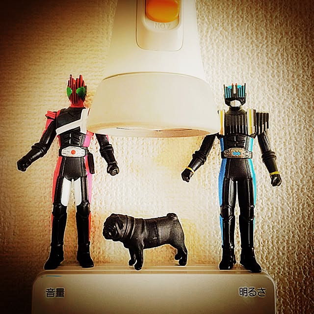 momonyさんの実例写真