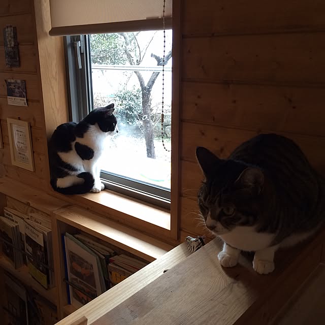 takammyさんの実例写真