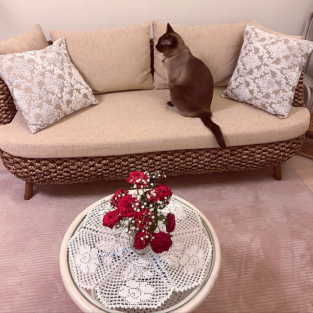 dodoさんの実例写真