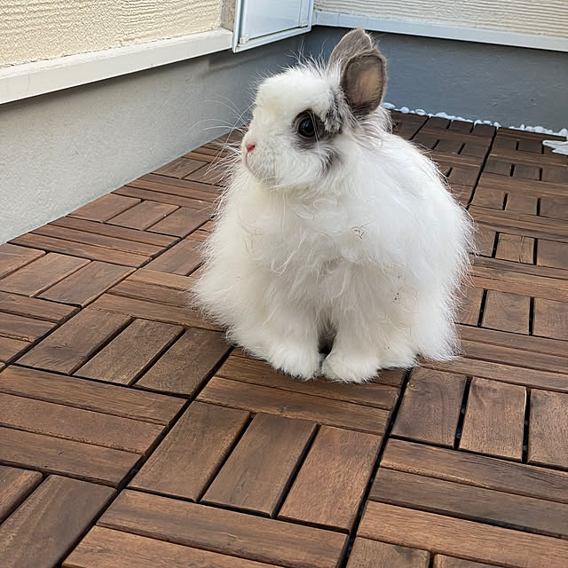 haruさんの部屋