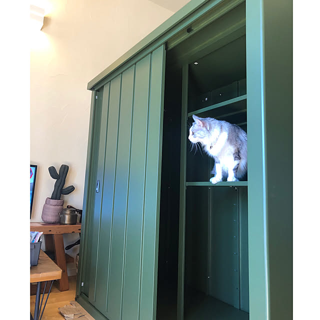 syungikuさんの実例写真