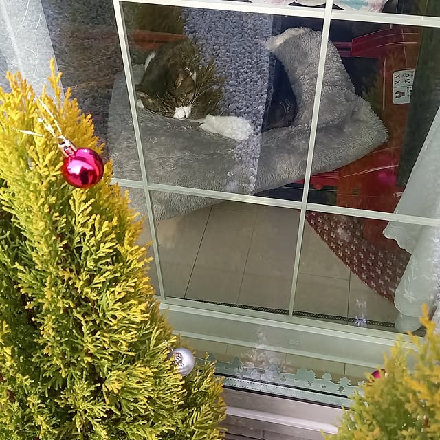 civicglさんの部屋