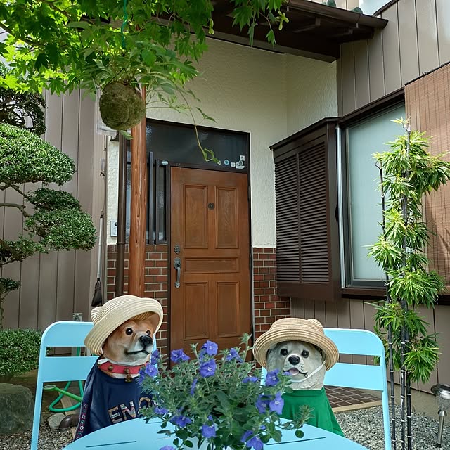 NOAHさんの実例写真