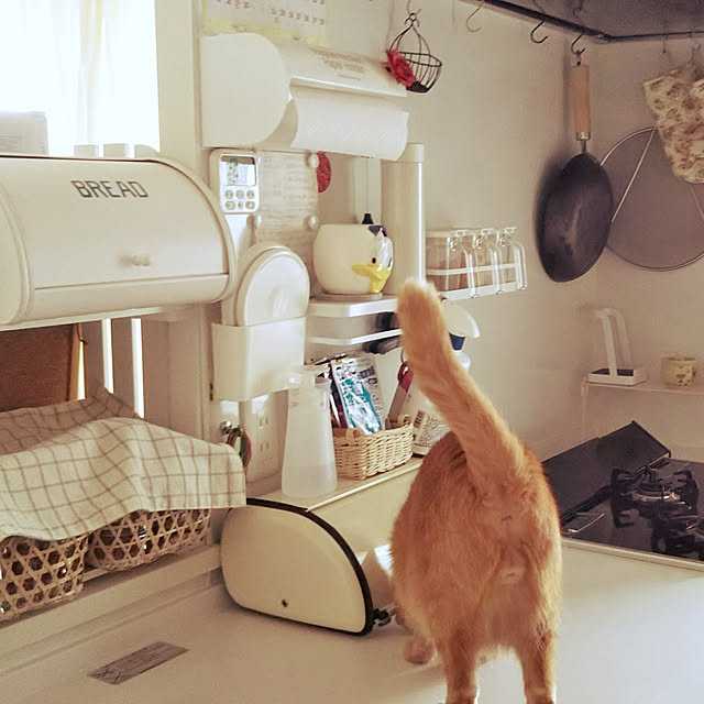 naturalさんの実例写真
