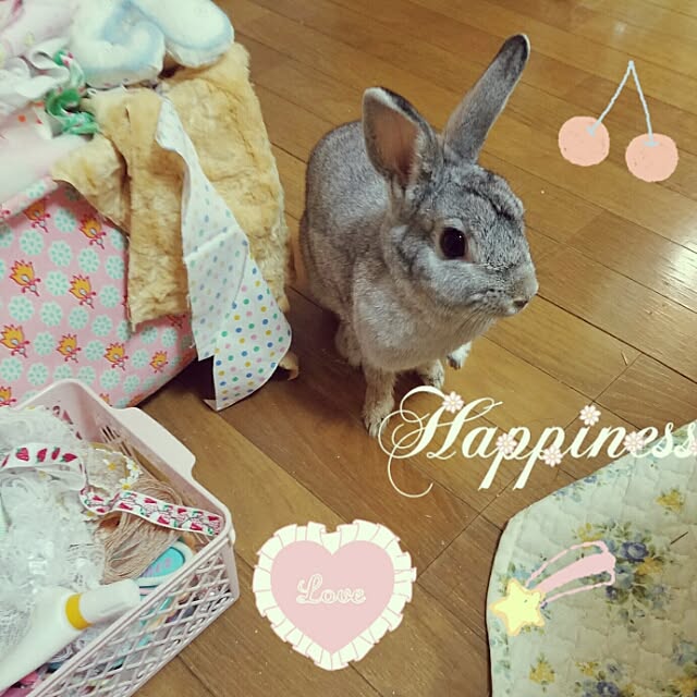 kuri34さんの実例写真