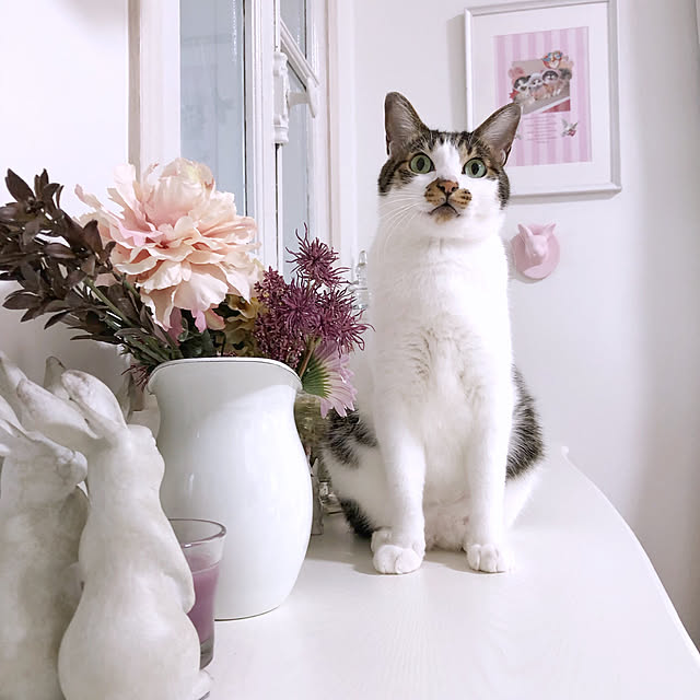 yuchiさんの実例写真