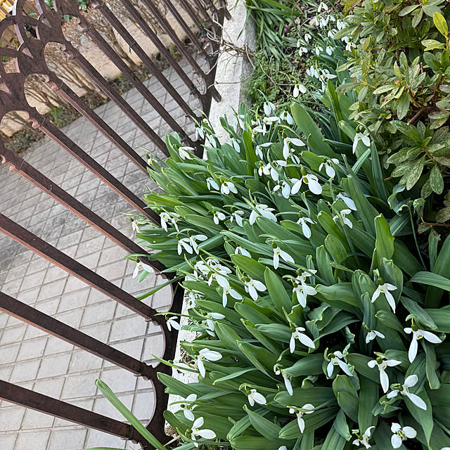 mamizaさんの実例写真