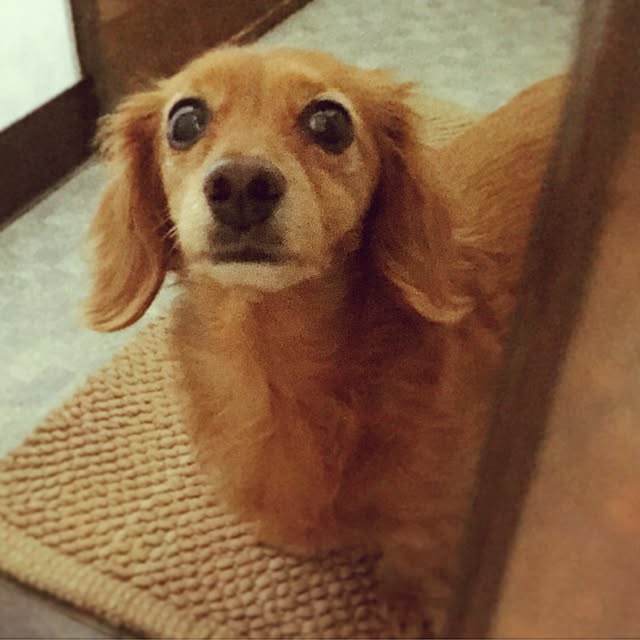 sakuさんの実例写真
