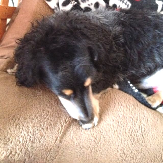 cocoさんの実例写真