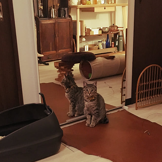 Mさんの実例写真