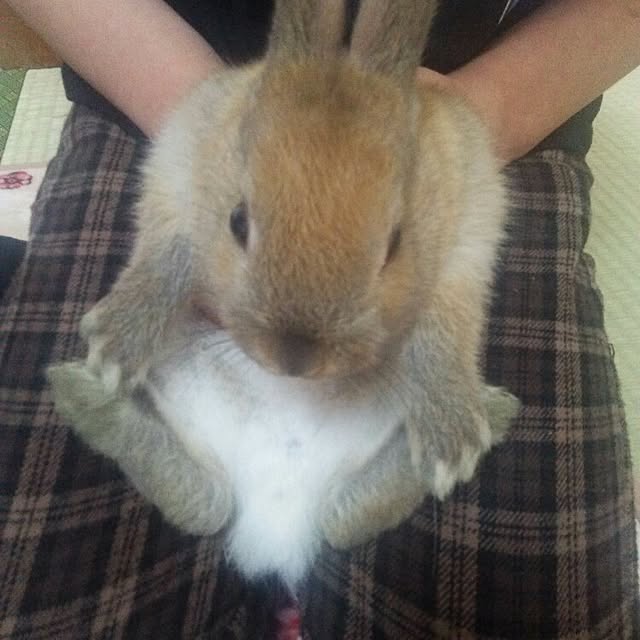 yu-ya1124さんの実例写真