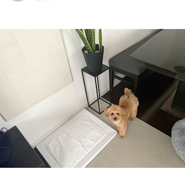 _rm_さんの実例写真