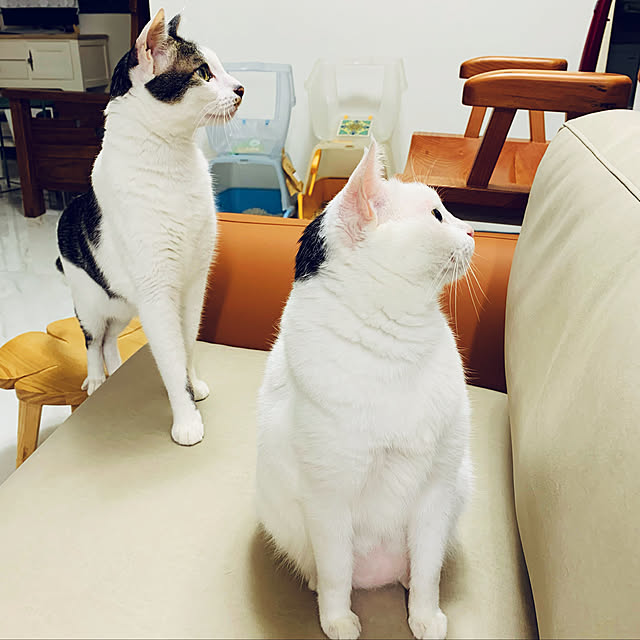 pcu110さんの実例写真