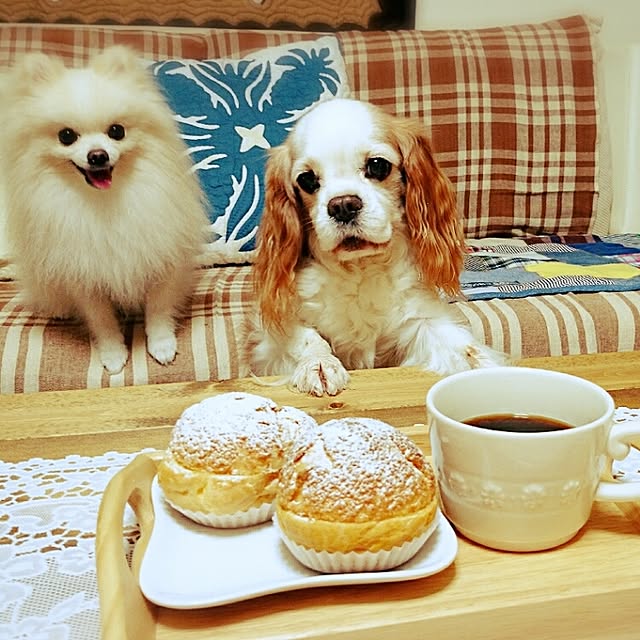 yukaさんの実例写真