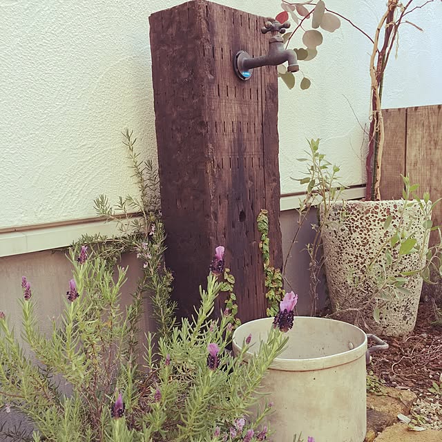 sakusoraさんの実例写真
