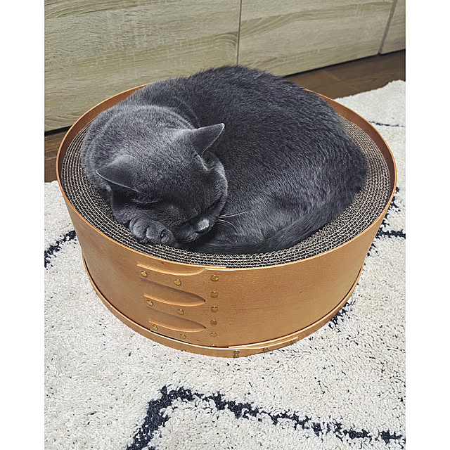 BTGさんの実例写真