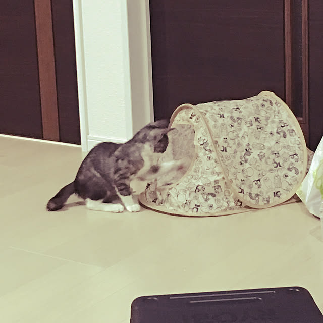 NEREさんの実例写真
