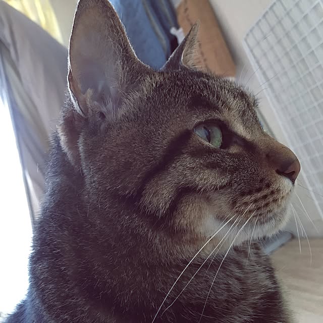 shigimiさんの実例写真