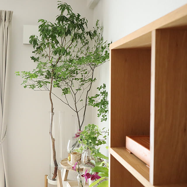 Summerさんの部屋