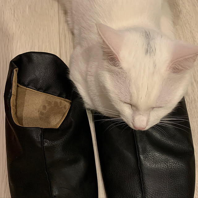 keiさんの実例写真
