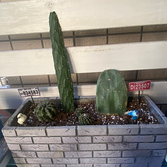 YuuKoさんの部屋
