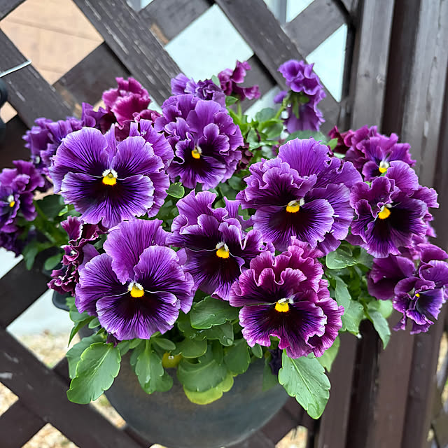 ritsukoさんの部屋