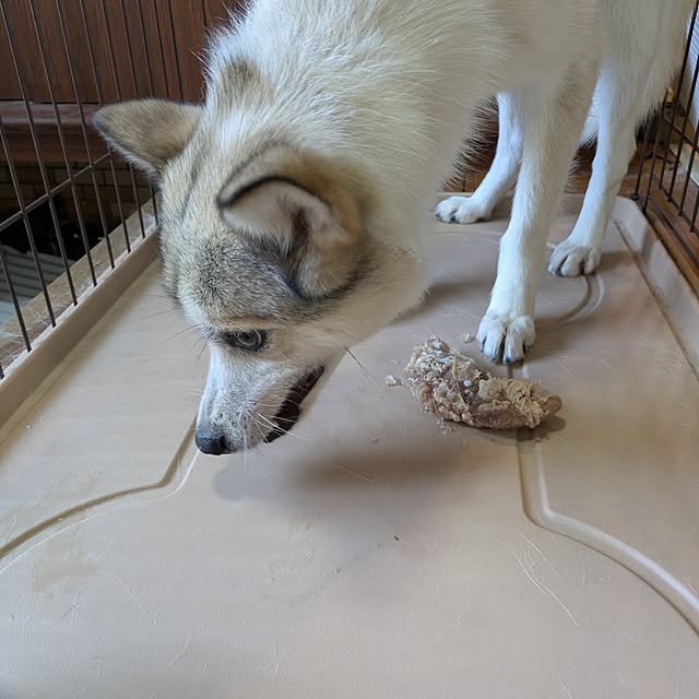 asaさんの部屋
