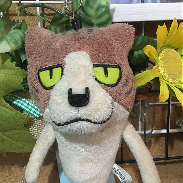 tututu0204さんの実例写真
