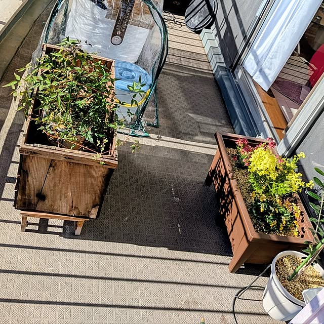 mi-saさんの部屋