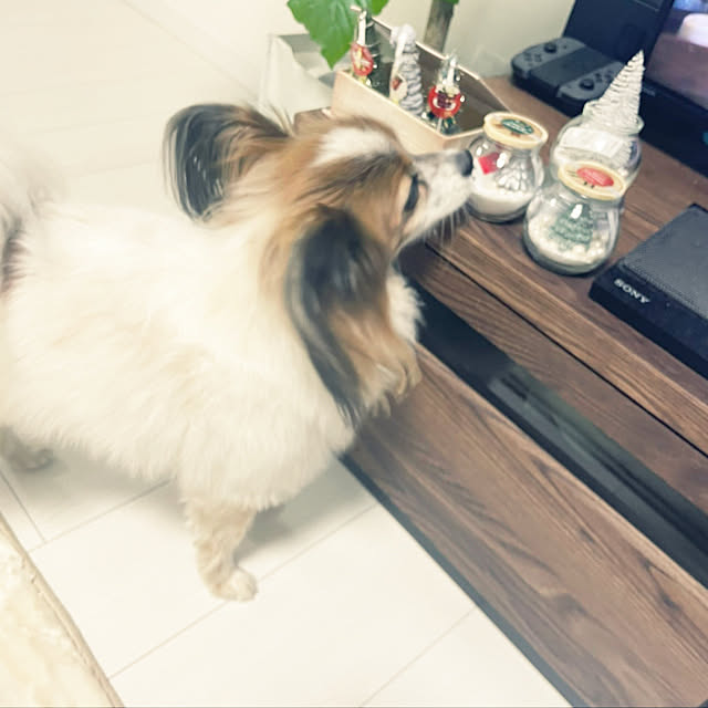 hiroさんの実例写真