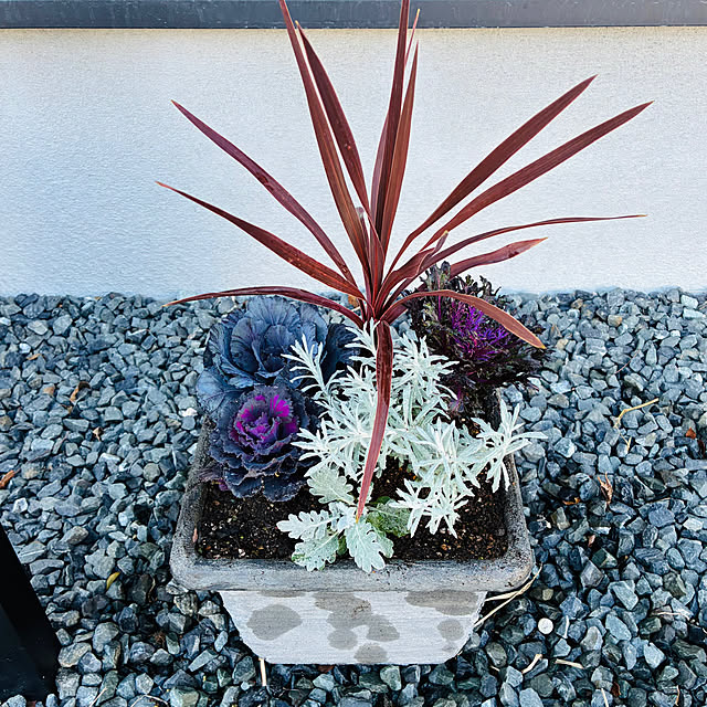 sammyさんの部屋