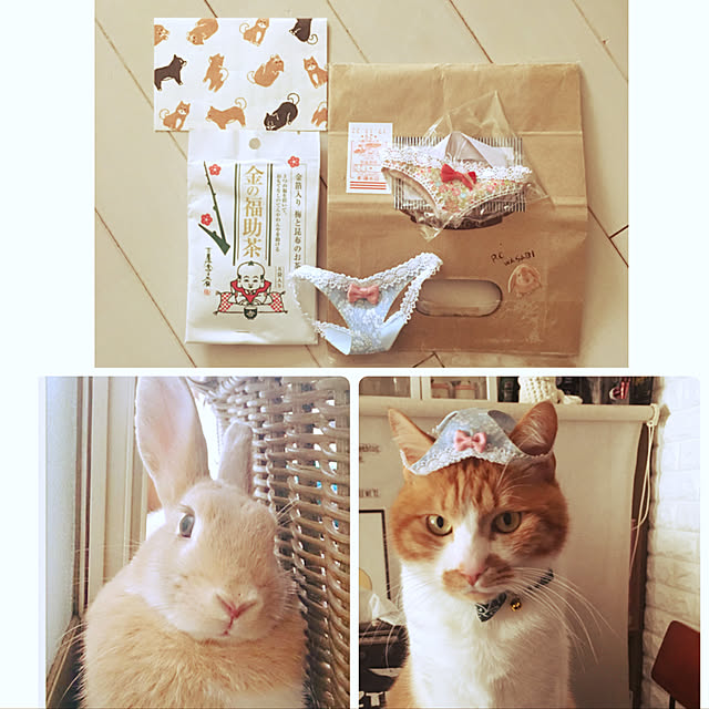 nyanyakoさんの実例写真