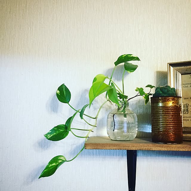 lebo_yamiさんの実例写真