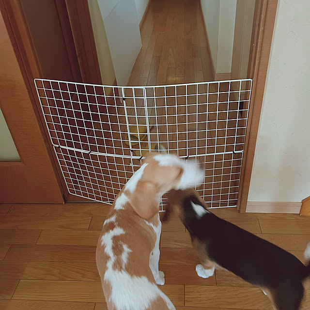 prelumoさんの実例写真