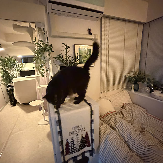 akihcclipさんの部屋