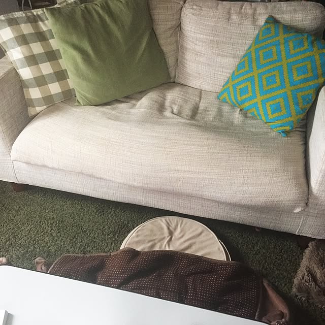 aiさんの実例写真