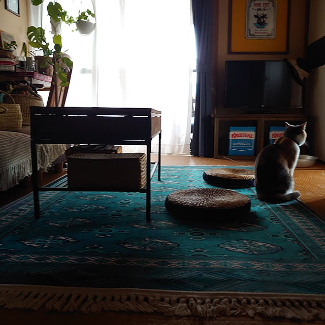 fukuさんの実例写真
