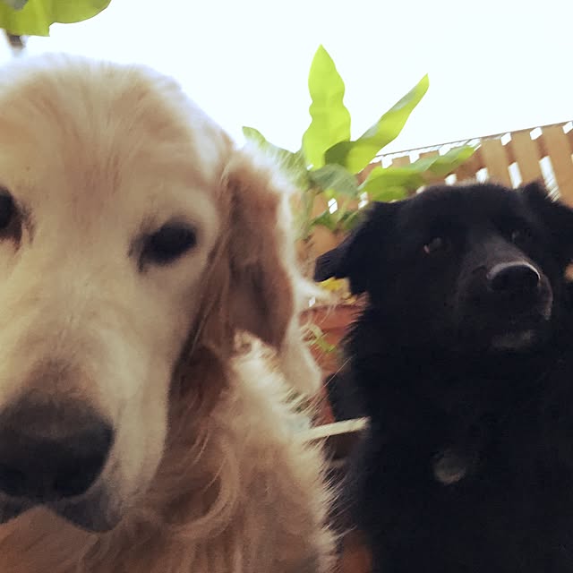 Yaeさんの実例写真