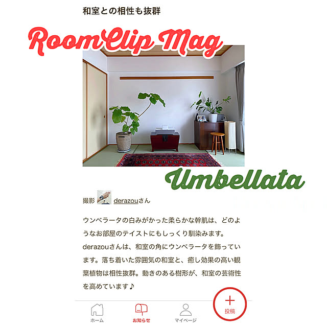 derazouさんの実例写真