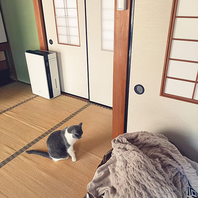 rhuさんの実例写真