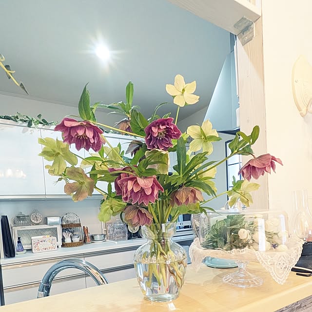 Bienvenueさんの実例写真