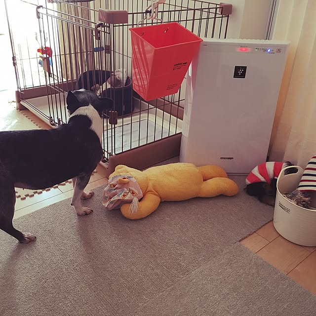 Takuさんの実例写真