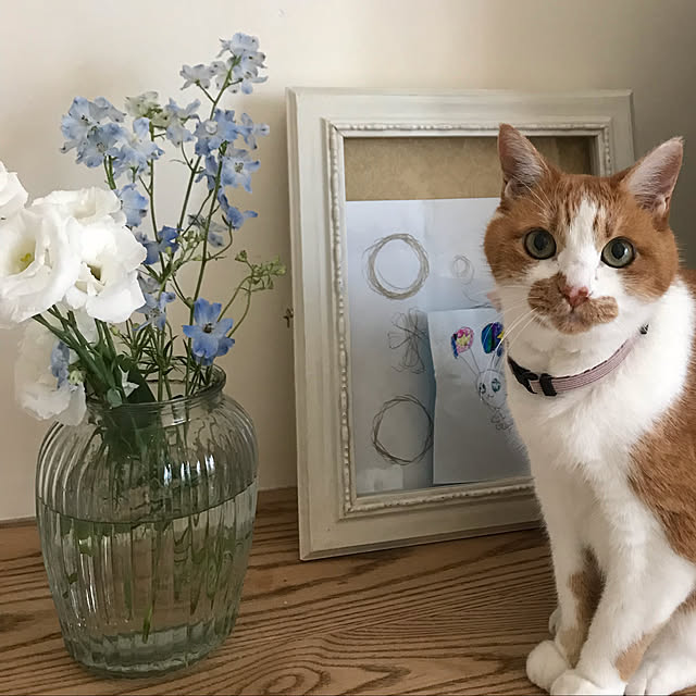 sakuraさんの実例写真