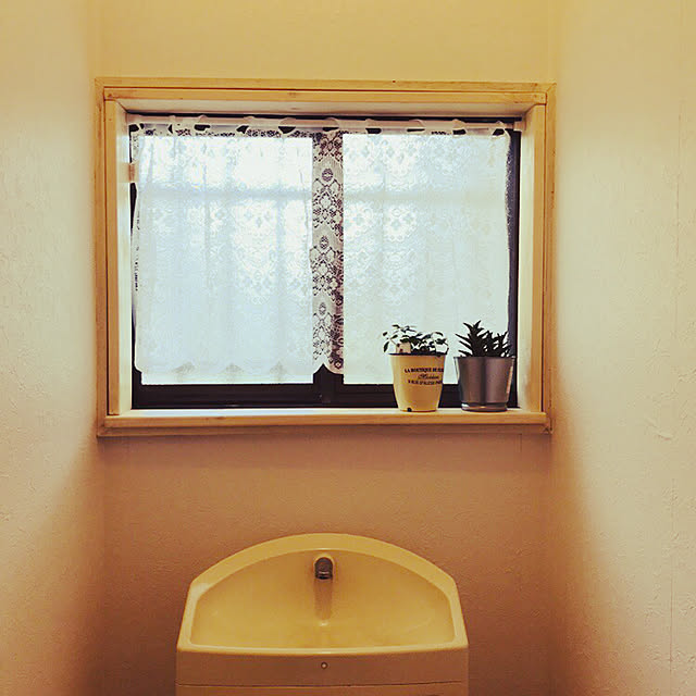 hana.greenさんの実例写真