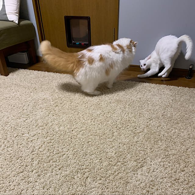 keiさんの実例写真