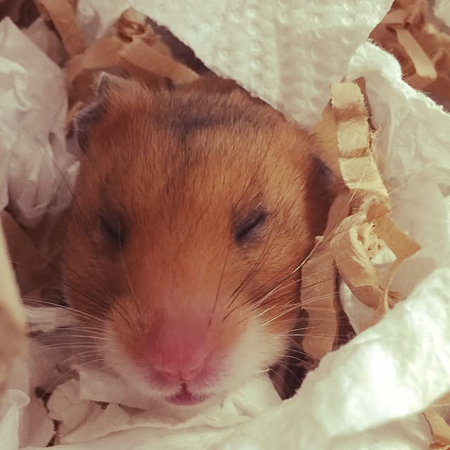 xxxakyxxxさんの実例写真