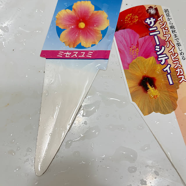 eriharuさんの部屋
