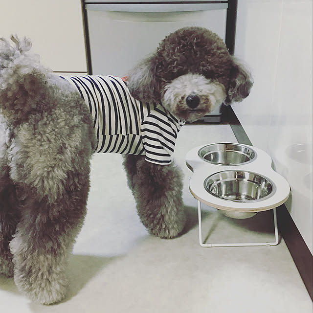 sunnydayさんの実例写真